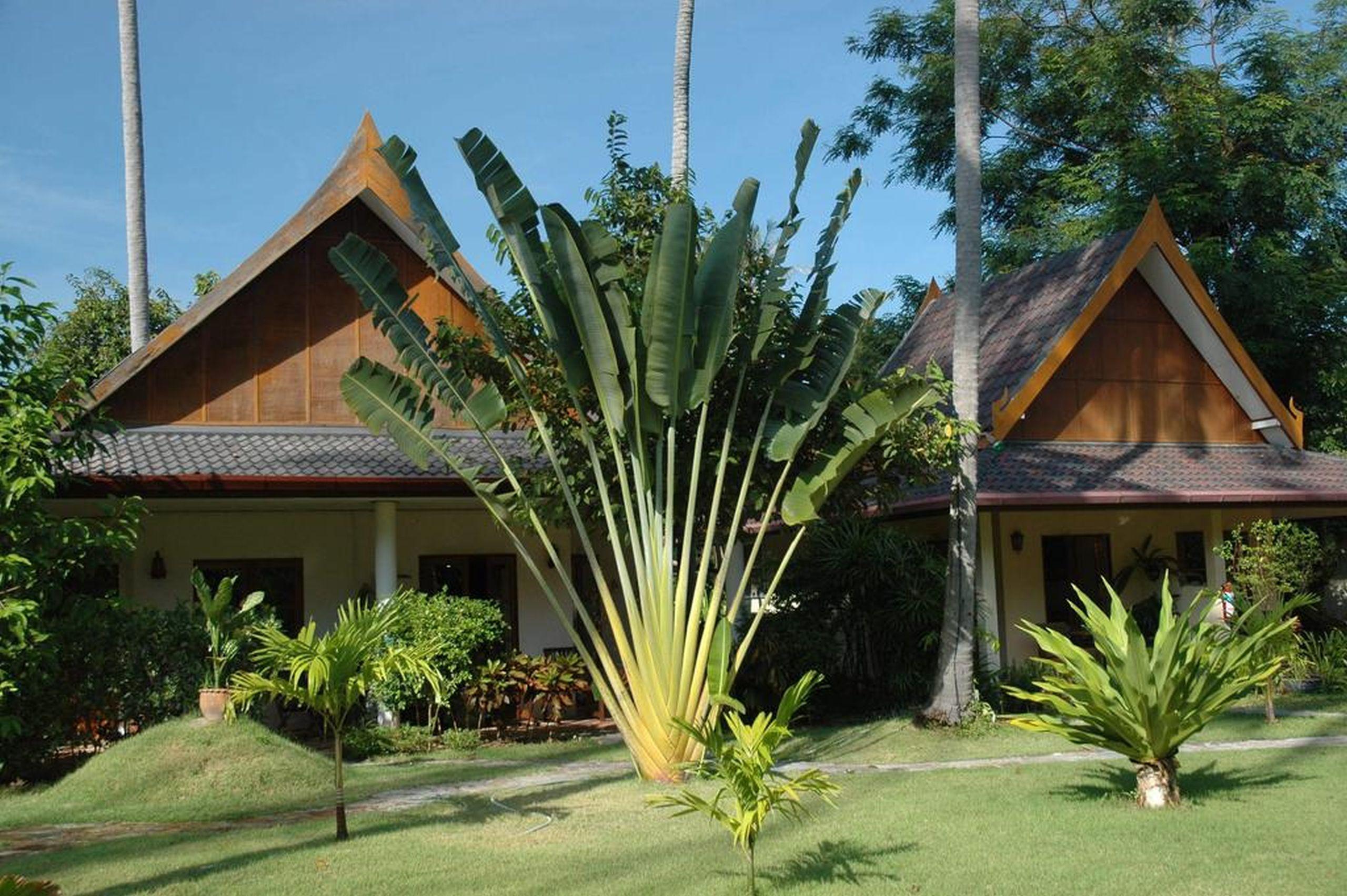Palm Garden Resort Rawai Buitenkant foto