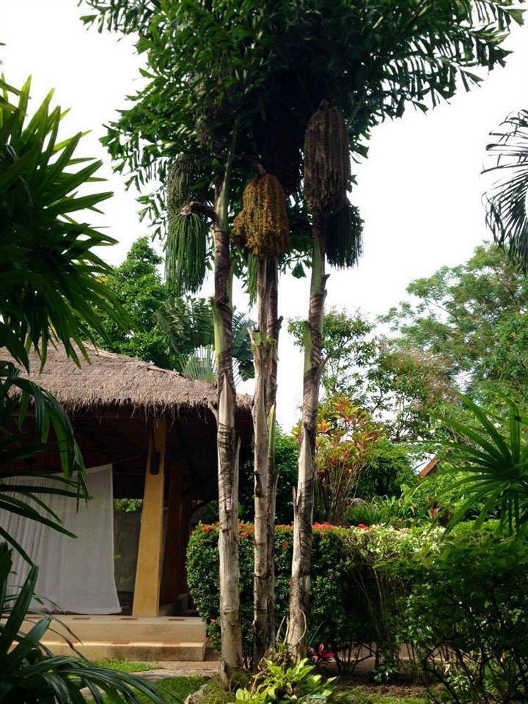 Palm Garden Resort Rawai Buitenkant foto