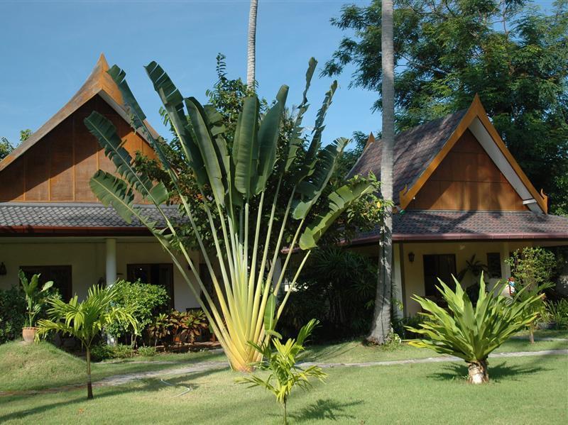 Palm Garden Resort Rawai Buitenkant foto